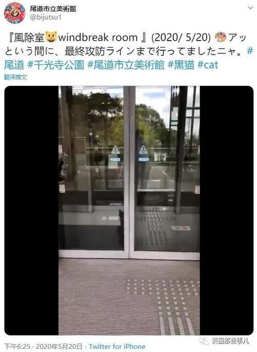 每日分享最新黑料门,每日分享最新黑料门，真相背后引人深思